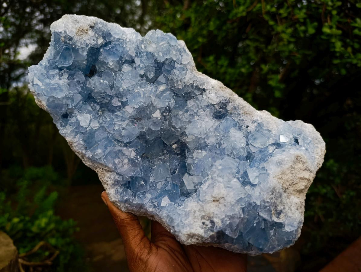 Natural Large Blue Celestite Plate Specimen x 1 From Sakoany, Madagascar - Toprock Gemstones and Minerals 