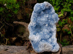 Natural Large Blue Celestite Plate Specimen x 1 From Sakoany, Madagascar - Toprock Gemstones and Minerals 