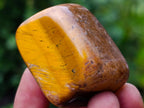 Polished Golden Tigers Eye Tumbled Slabs and Free Forms x 2,6 KG Lot From Prieska, South Africa - Toprock Gemstones and Minerals 
