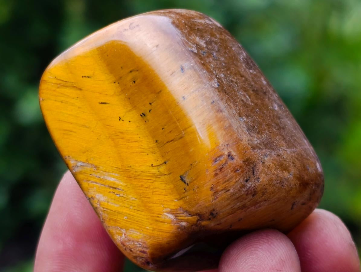 Polished Golden Tigers Eye Tumbled Slabs and Free Forms x 2,6 KG Lot From Prieska, South Africa - Toprock Gemstones and Minerals 