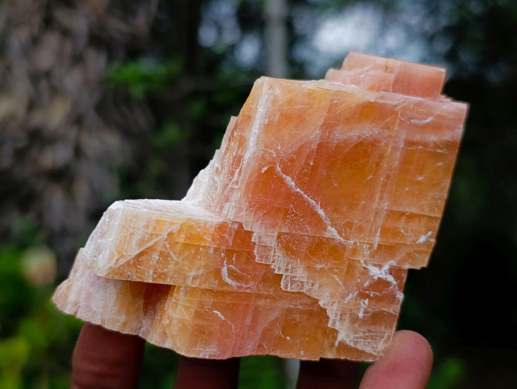 Natural Rhombohedral Sunset Orange Calcite Specimens x 5 From Spitzkop, Namibia - Toprock Gemstones and Minerals 