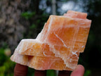 Natural Rhombohedral Sunset Orange Calcite Specimens x 5 From Spitzkop, Namibia - Toprock Gemstones and Minerals 
