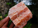 Natural Rhombohedral Sunset Orange Calcite Specimens x 5 From Spitzkop, Namibia - Toprock Gemstones and Minerals 