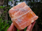 Natural Rhombohedral Sunset Orange Calcite Specimens x 5 From Spitzkop, Namibia - Toprock Gemstones and Minerals 