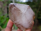 Polished Smokey Window Quartz Crystals x 6 From Akansobe, Madagascar - Toprock Gemstones and Minerals 