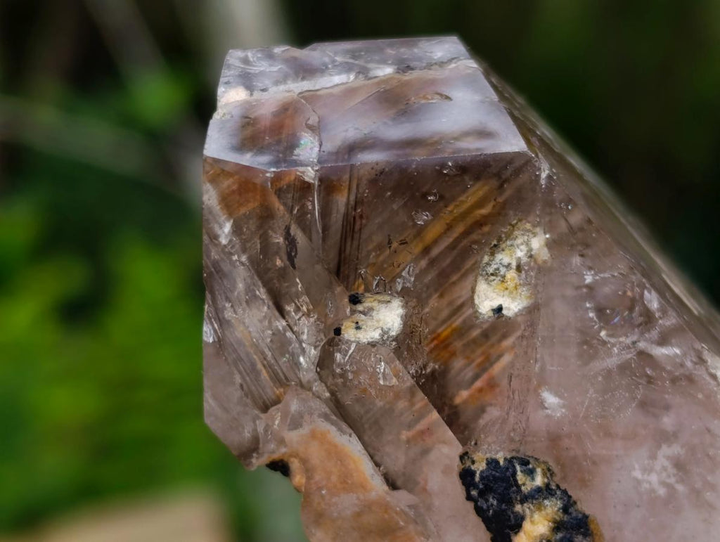 Polished Smokey Window Quartz Crystals x 6 From Akansobe, Madagascar - Toprock Gemstones and Minerals 