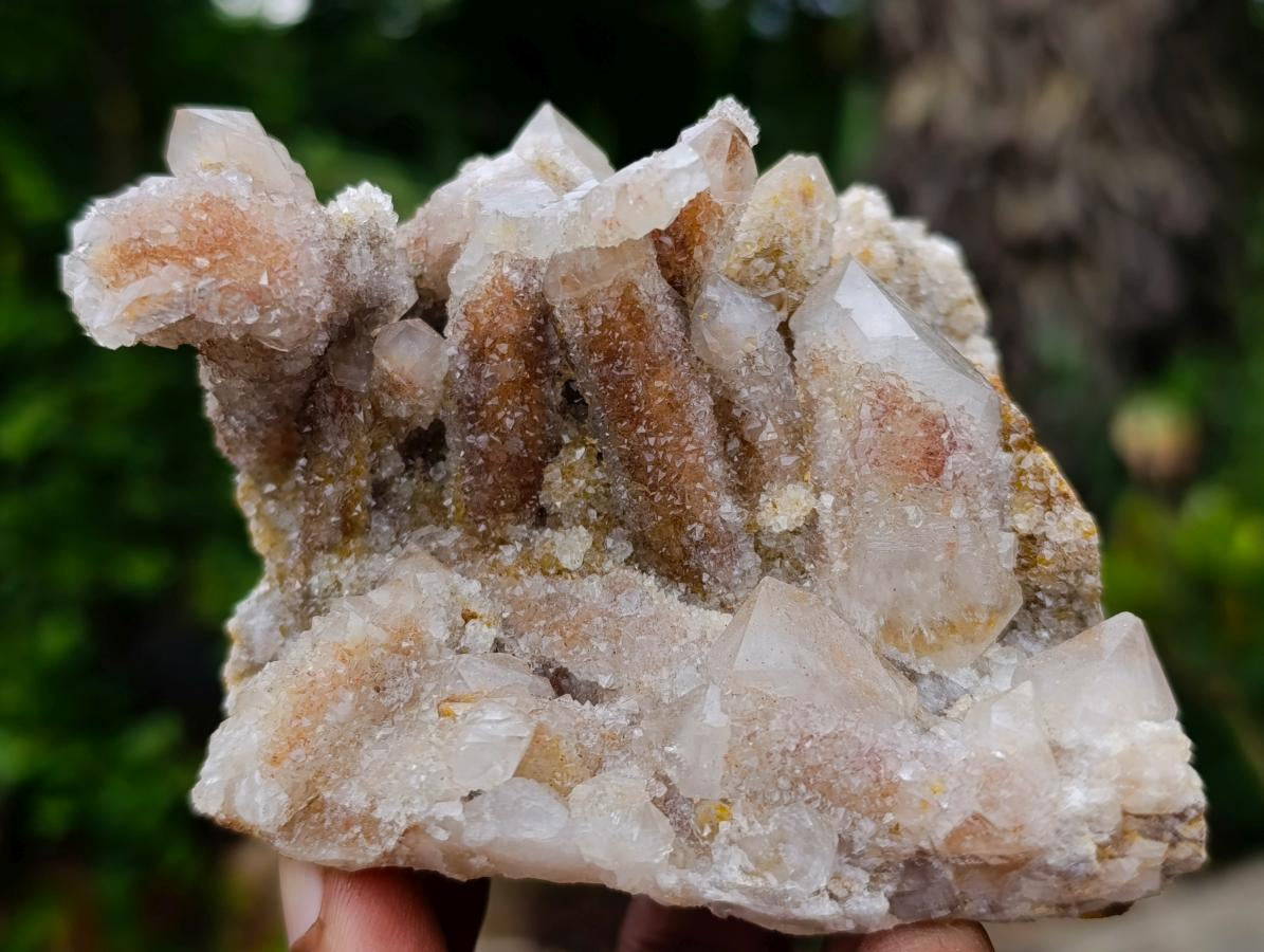 Natural Golden Limonite Spirit Quartz Clusters x 4 From Boekenhouthoek, South Africa - Toprock Gemstones and Minerals 