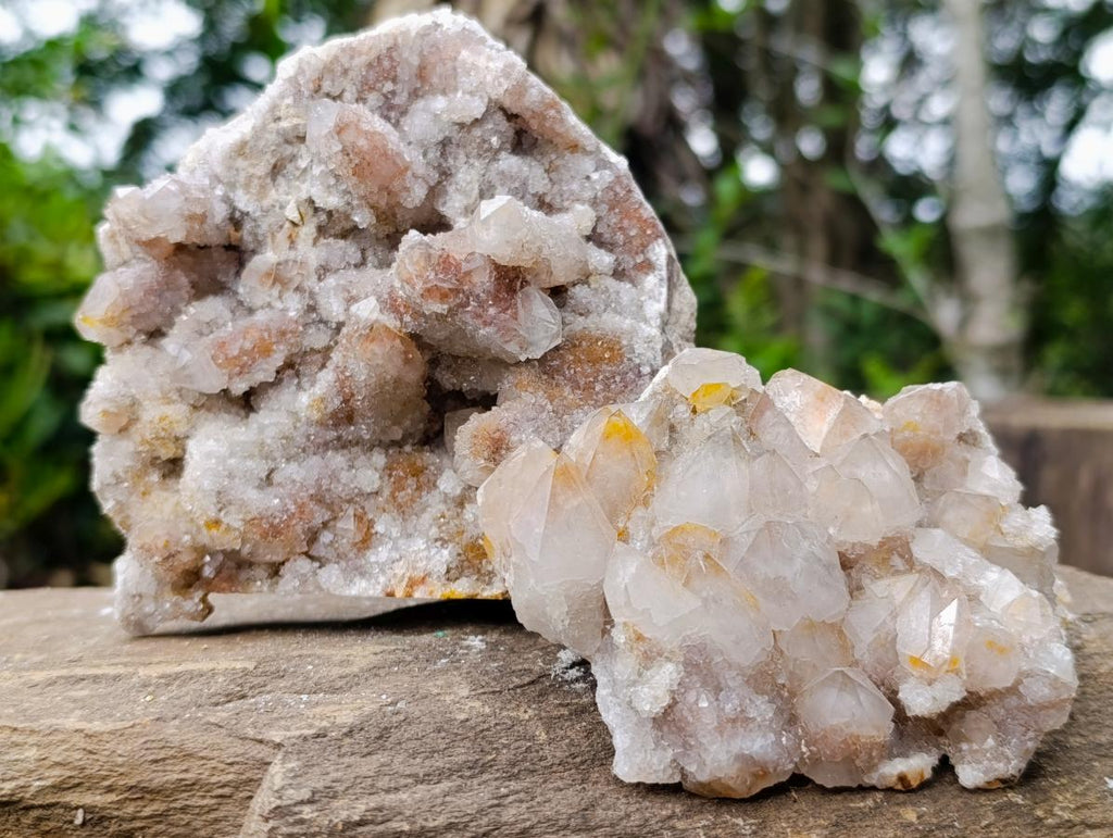 Natural Golden Limonite Spirit Quartz Clusters x 4 From Boekenhouthoek, South Africa - Toprock Gemstones and Minerals 