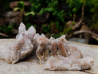 Natural Golden Limonite Spirit Quartz Clusters x 4 From Boekenhouthoek, South Africa - Toprock Gemstones and Minerals 