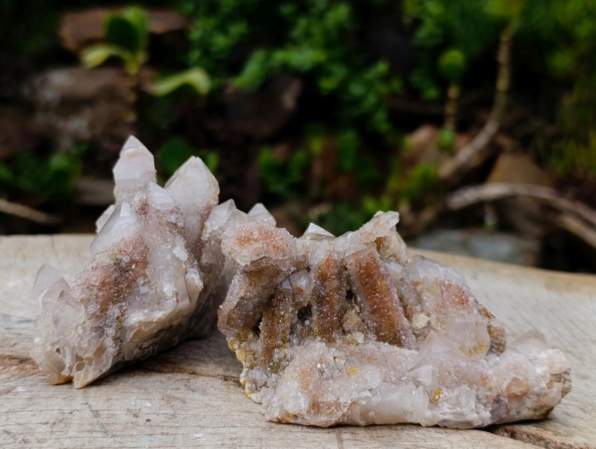 Natural Golden Limonite Spirit Quartz Clusters x 4 From Boekenhouthoek, South Africa - Toprock Gemstones and Minerals 