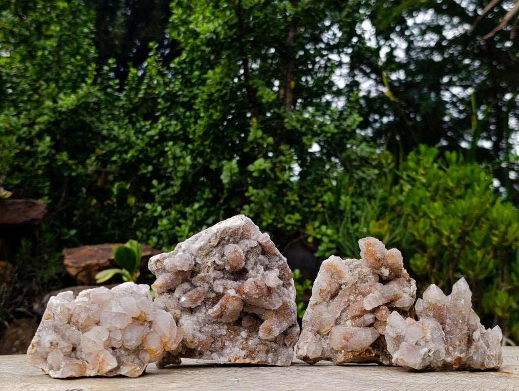 Natural Golden Limonite Spirit Quartz Clusters x 4 From Boekenhouthoek, South Africa - Toprock Gemstones and Minerals 