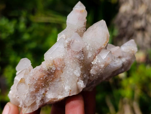 Natural Golden Limonite Spirit Quartz Clusters x 4 From Boekenhouthoek, South Africa - Toprock Gemstones and Minerals 