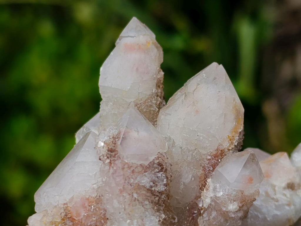 Natural Golden Limonite Spirit Quartz Clusters x 4 From Boekenhouthoek, South Africa - Toprock Gemstones and Minerals 