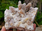 Natural Golden Limonite Spirit Quartz Clusters x 4 From Boekenhouthoek, South Africa - Toprock Gemstones and Minerals 