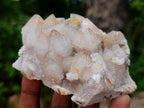 Natural Golden Limonite Spirit Quartz Clusters x 4 From Boekenhouthoek, South Africa - Toprock Gemstones and Minerals 