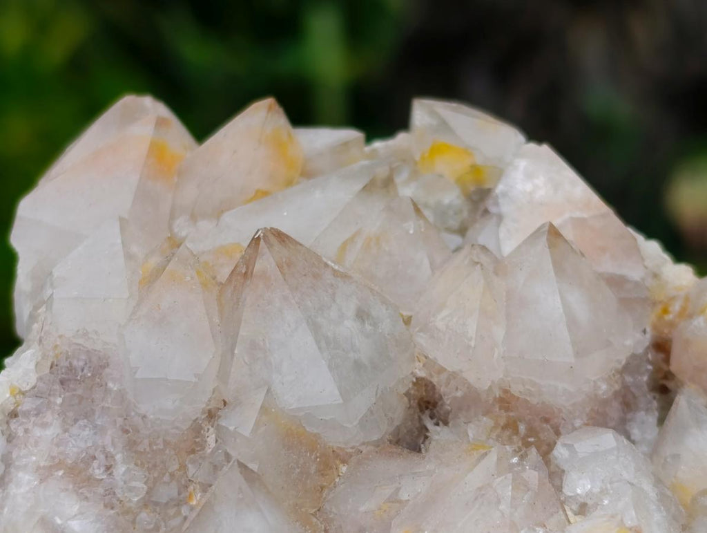 Natural Golden Limonite Spirit Quartz Clusters x 4 From Boekenhouthoek, South Africa - Toprock Gemstones and Minerals 