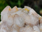 Natural Golden Limonite Spirit Quartz Clusters x 4 From Boekenhouthoek, South Africa - Toprock Gemstones and Minerals 