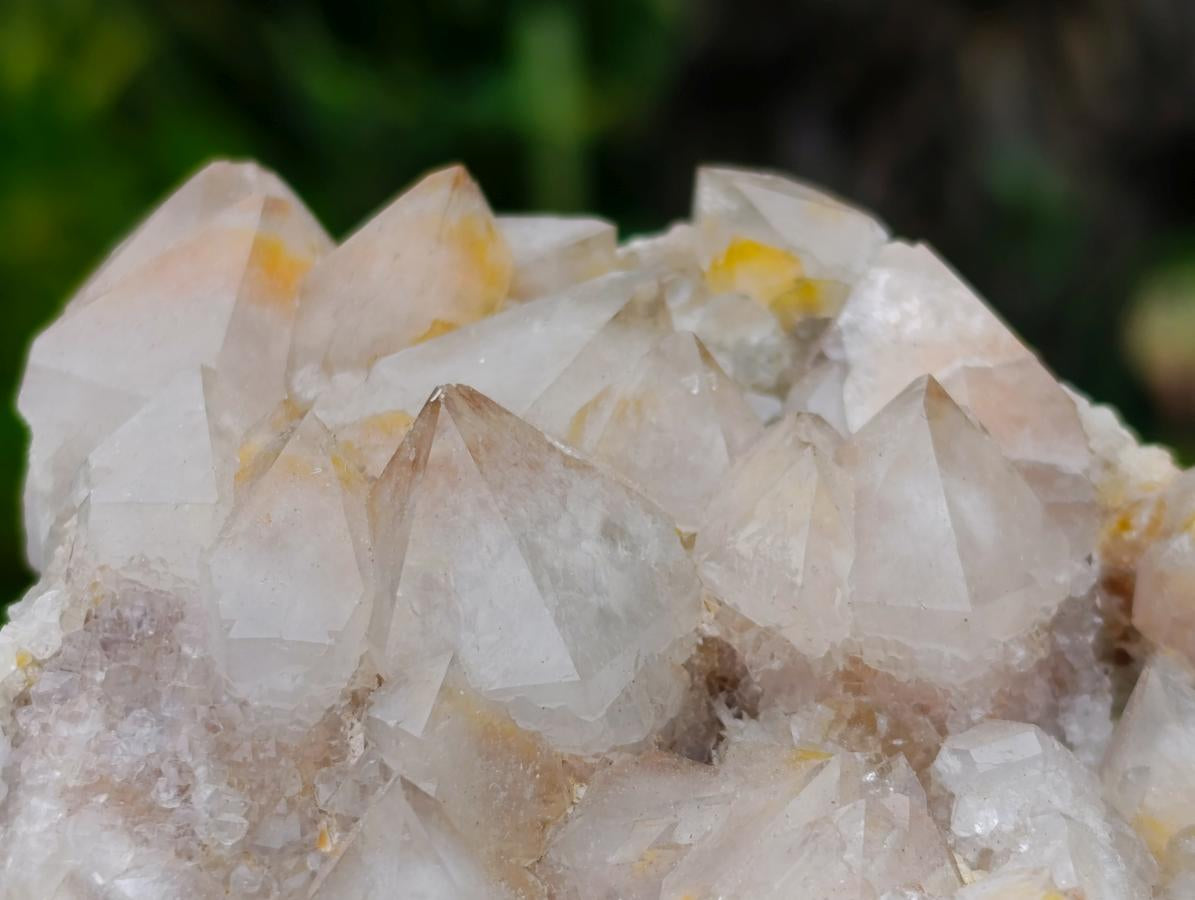 Natural Golden Limonite Spirit Quartz Clusters x 4 From Boekenhouthoek, South Africa - Toprock Gemstones and Minerals 