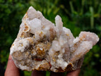 Natural Golden Limonite Spirit Quartz Clusters x 4 From Boekenhouthoek, South Africa - Toprock Gemstones and Minerals 