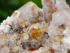 Natural Golden Limonite Spirit Quartz Clusters x 4 From Boekenhouthoek, South Africa - Toprock Gemstones and Minerals 