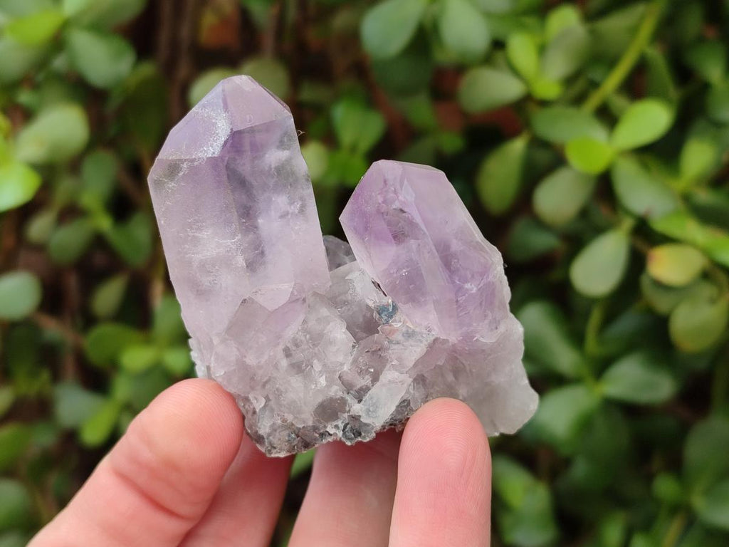 Natural Jacaranda Amethyst Single Crystals x 24 From Mumbwa, Zambia - Toprock Gemstones and Minerals 