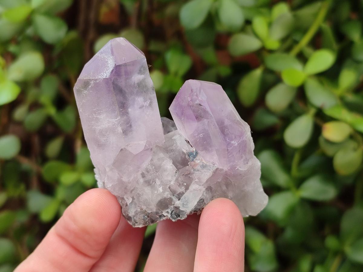 Natural Jacaranda Amethyst Single Crystals x 24 From Mumbwa, Zambia - Toprock Gemstones and Minerals 