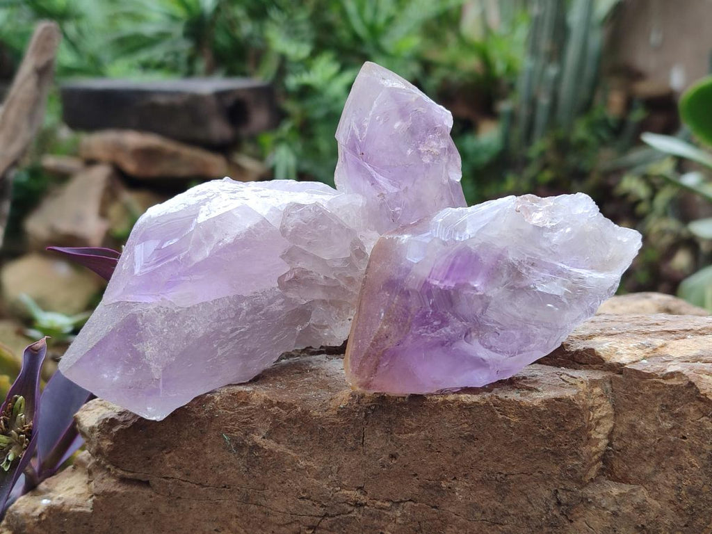 Natural Jacaranda Amethyst Single Crystals x 24 From Mumbwa, Zambia - Toprock Gemstones and Minerals 