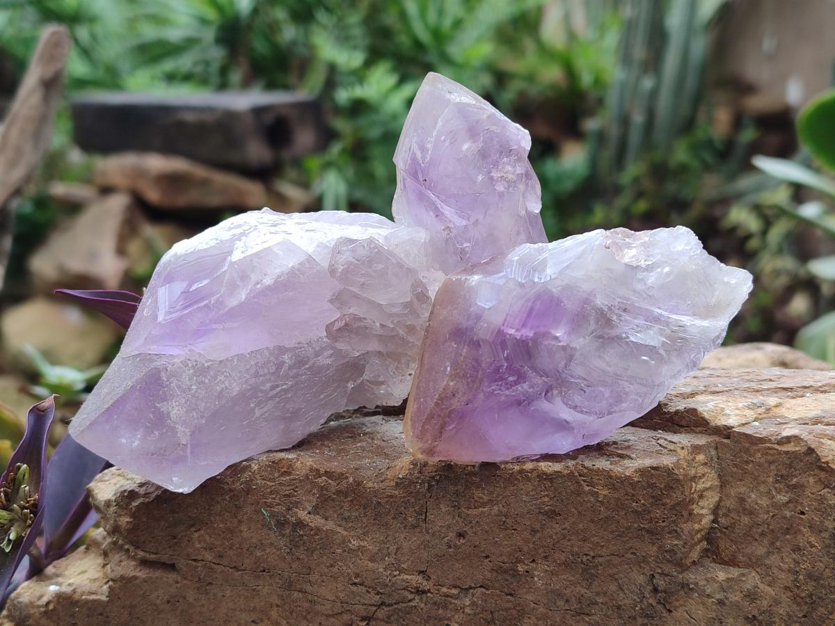 Natural Jacaranda Amethyst Single Crystals x 24 From Mumbwa, Zambia - Toprock Gemstones and Minerals 