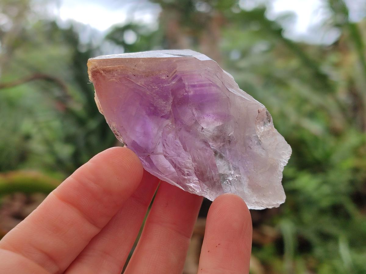 Natural Jacaranda Amethyst Single Crystals x 24 From Mumbwa, Zambia - Toprock Gemstones and Minerals 