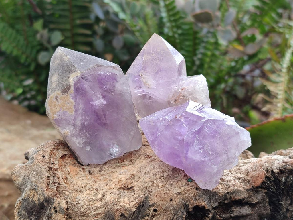 Natural Jacaranda Amethyst Single Crystals x 24 From Mumbwa, Zambia - Toprock Gemstones and Minerals 