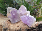 Natural Jacaranda Amethyst Single Crystals x 24 From Mumbwa, Zambia - Toprock Gemstones and Minerals 