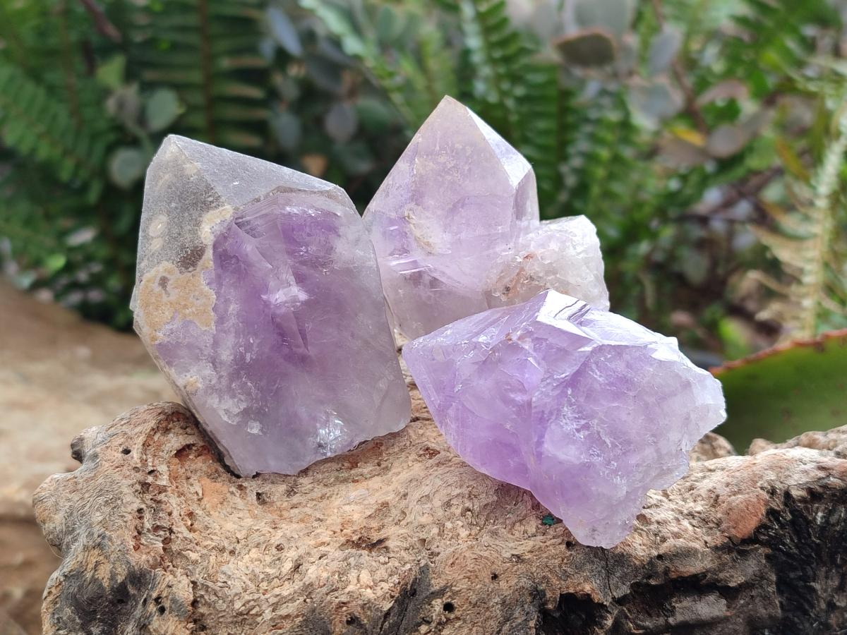 Natural Jacaranda Amethyst Single Crystals x 24 From Mumbwa, Zambia - Toprock Gemstones and Minerals 
