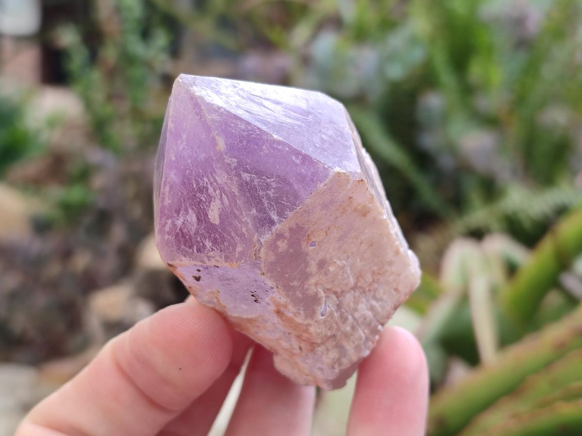 Natural Jacaranda Amethyst Single Crystals x 24 From Mumbwa, Zambia - Toprock Gemstones and Minerals 