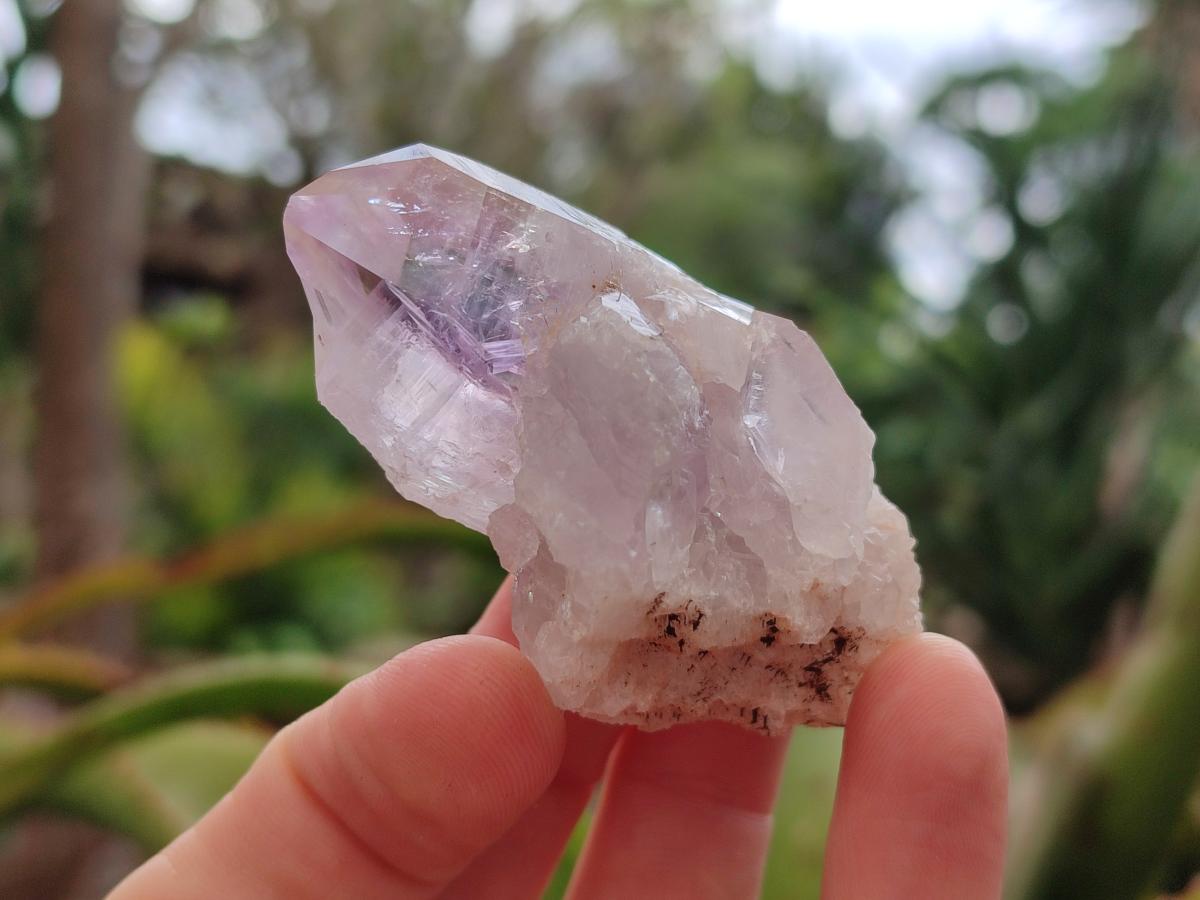 Natural Jacaranda Amethyst Single Crystals x 24 From Mumbwa, Zambia - Toprock Gemstones and Minerals 