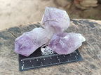 Natural Jacaranda Amethyst Single Crystals x 24 From Mumbwa, Zambia - Toprock Gemstones and Minerals 