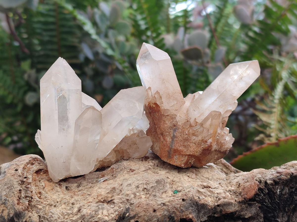 Natural Smokey Quartz Clusters x 35 From Ambatofinandrahana, Madagascar - Toprock Gemstones and Minerals 