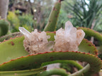 Natural Smokey Quartz Clusters x 35 From Ambatofinandrahana, Madagascar - Toprock Gemstones and Minerals 