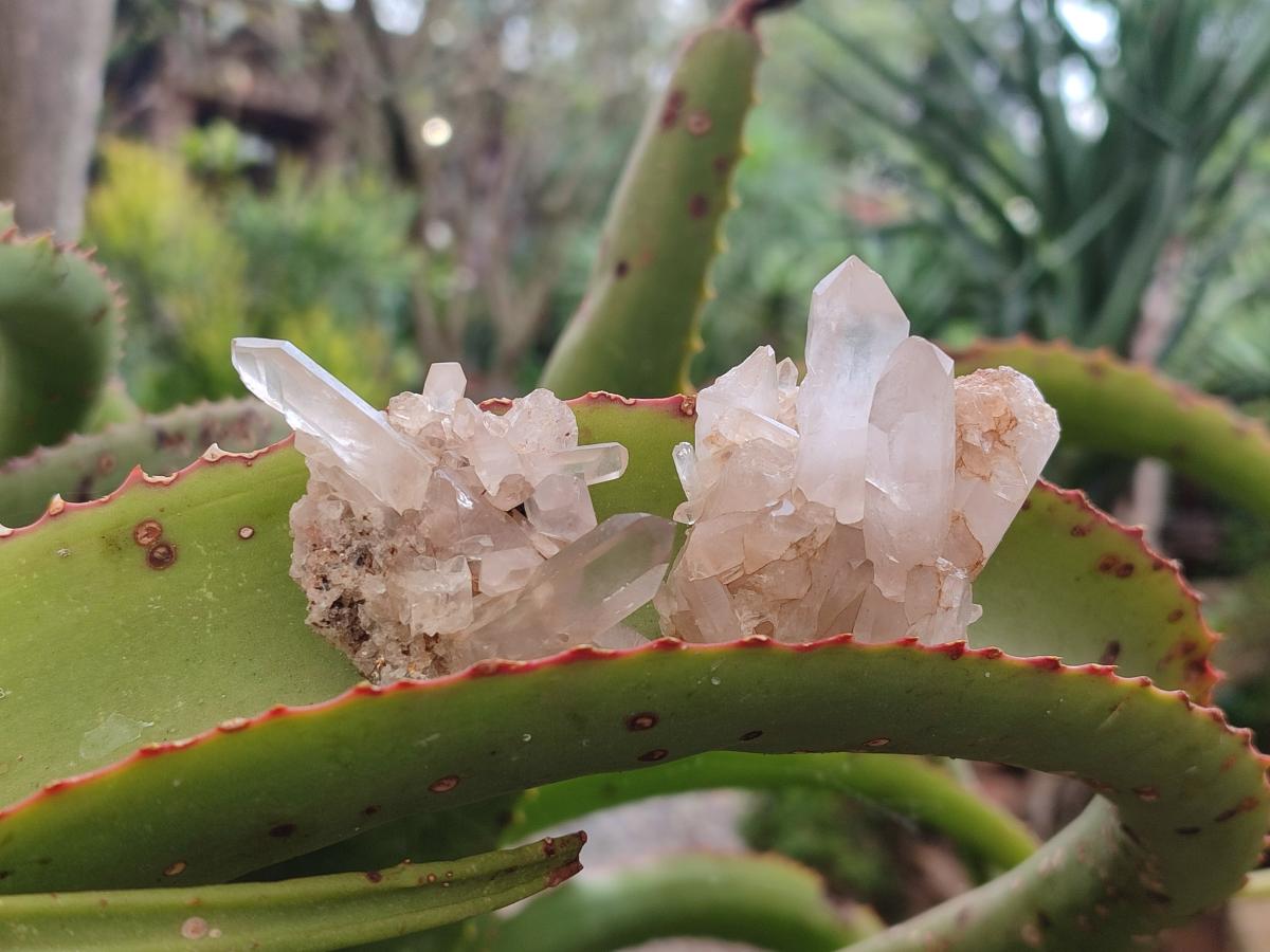 Natural Smokey Quartz Clusters x 35 From Ambatofinandrahana, Madagascar - Toprock Gemstones and Minerals 
