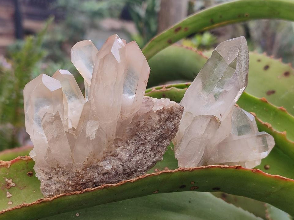 Natural Smokey Quartz Clusters x 35 From Ambatofinandrahana, Madagascar - Toprock Gemstones and Minerals 