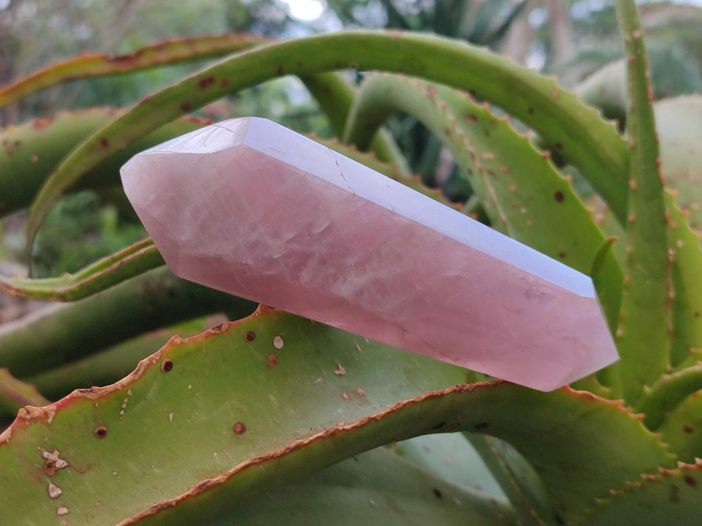 Polished Double Terminated Gemmy Rose Quartz Crystals x 6 From Madagascar - Toprock Gemstones and Minerals 