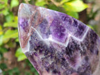 Polished Chevron Amethyst Display Crystals x 2 From Zambia - Toprock Gemstones and Minerals 