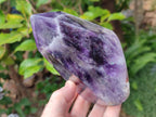 Polished Chevron Amethyst Display Crystals x 2 From Zambia - Toprock Gemstones and Minerals 