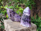 Polished Chevron Amethyst Display Crystals x 2 From Zambia - Toprock Gemstones and Minerals 
