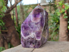 Polished Chevron Amethyst Display Crystals x 2 From Zambia - Toprock Gemstones and Minerals 