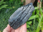 Natural Schorl Black Tourmaline Specimens x 3 From Khorigan, Namibia - Toprock Gemstones and Minerals 