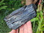 Natural Schorl Black Tourmaline Specimens x 3 From Khorigan, Namibia - Toprock Gemstones and Minerals 
