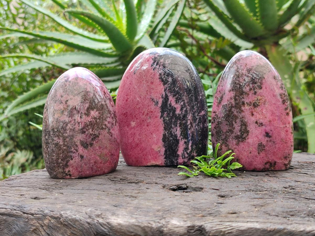 Polished Rhodonite Standing Display Pieces x 3 From Ambindavato, Madagascar - Toprock Gemstones and Minerals 