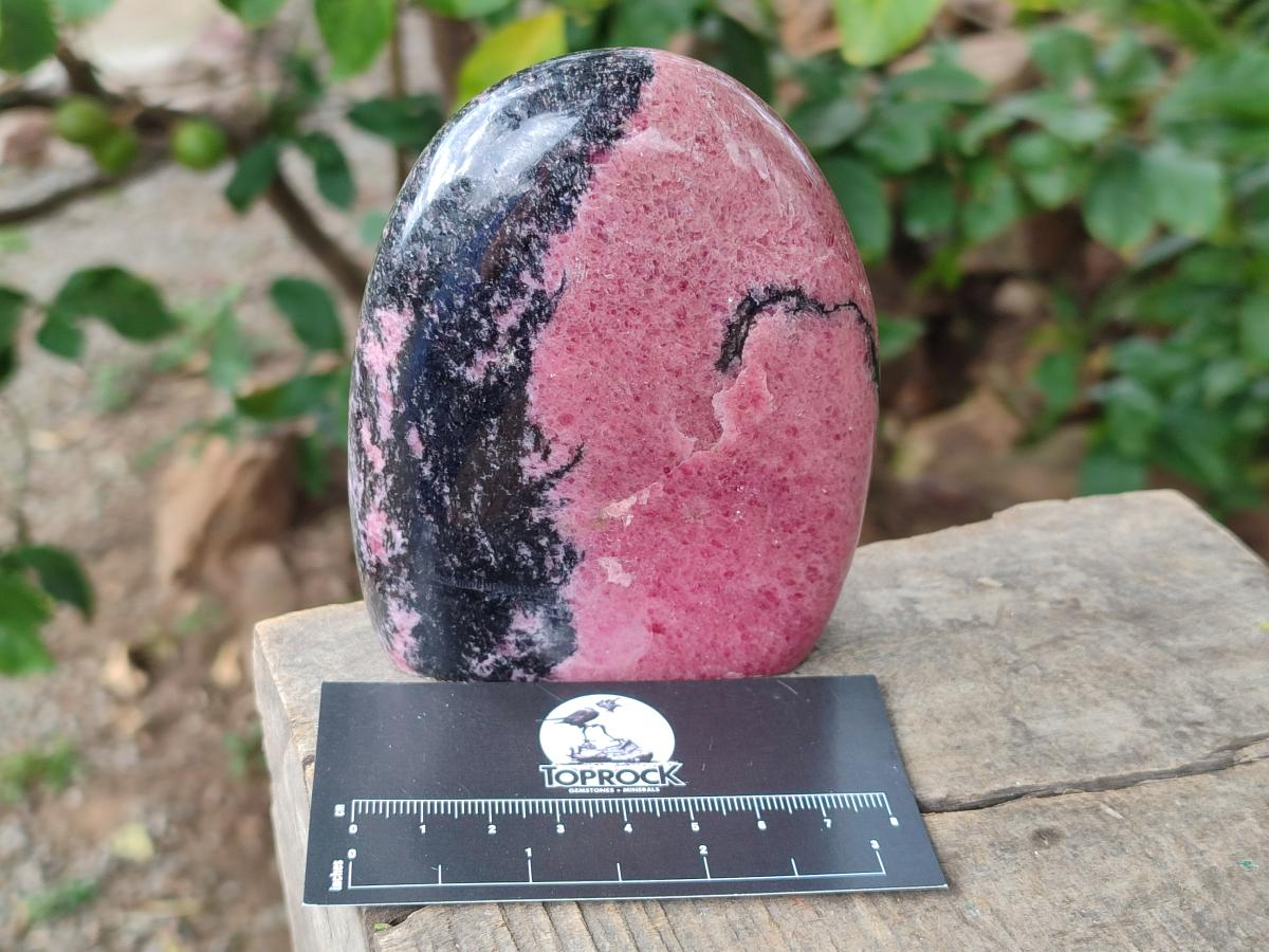 Polished Rhodonite Standing Display Pieces x 3 From Ambindavato, Madagascar - Toprock Gemstones and Minerals 