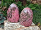 Polished Rhodonite Standing Display Pieces x 3 From Ambindavato, Madagascar - Toprock Gemstones and Minerals 
