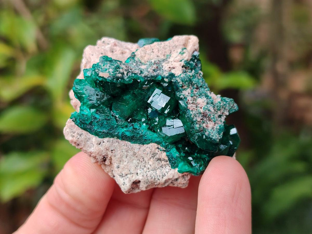 Natural Dioptase on Dolomite Specimens Some with Chrysocolla x 6 From Likasi, Congo - Toprock Gemstones and Minerals 